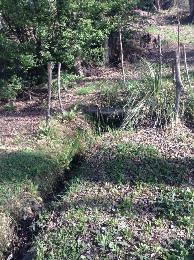 Mil Piedras Cabins Potrerillos Luaran gambar